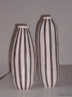 vasi Cactus